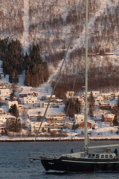 New Magnificent View Apartment Near The Centre Tromsø Dış mekan fotoğraf